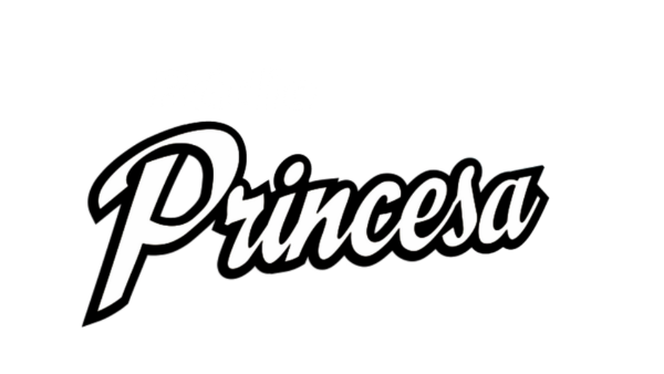 Rádio Princesa 1130 AM