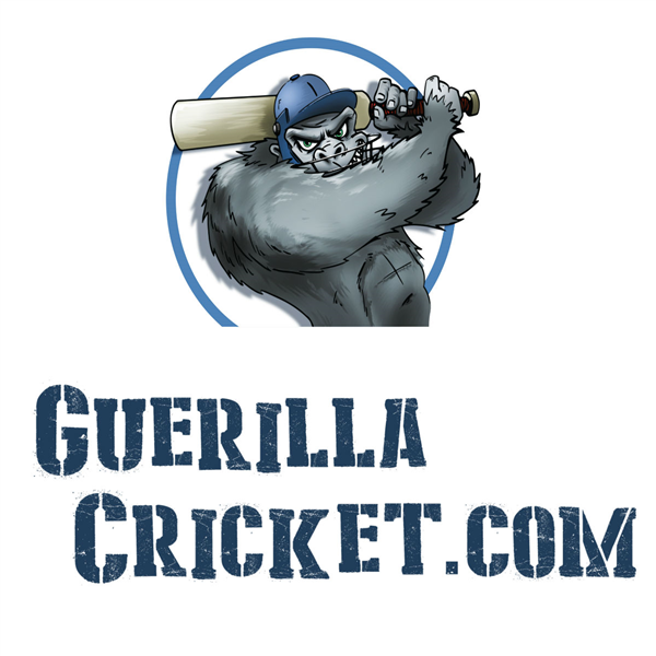 Guerilla Cricket
