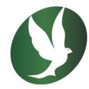 Rádio Novas de Paz FM 88.1