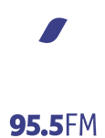 Rádio Mega 95.5 FM 