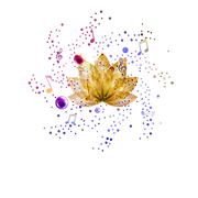 Constellations Radio FM