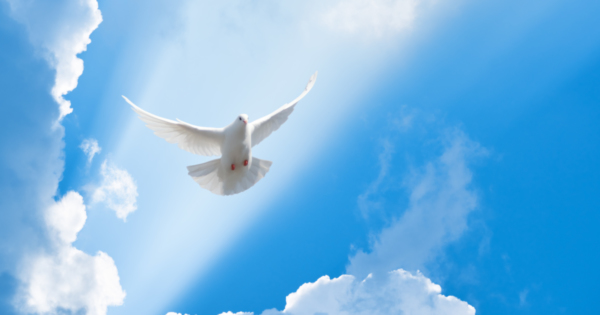 Radio Eu Amo O Espirito Santo Sim