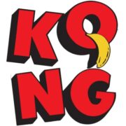 KONG FM 93.5