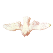 Radio Santec - Español