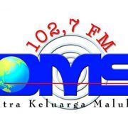 Radio DMS 102.7 FM