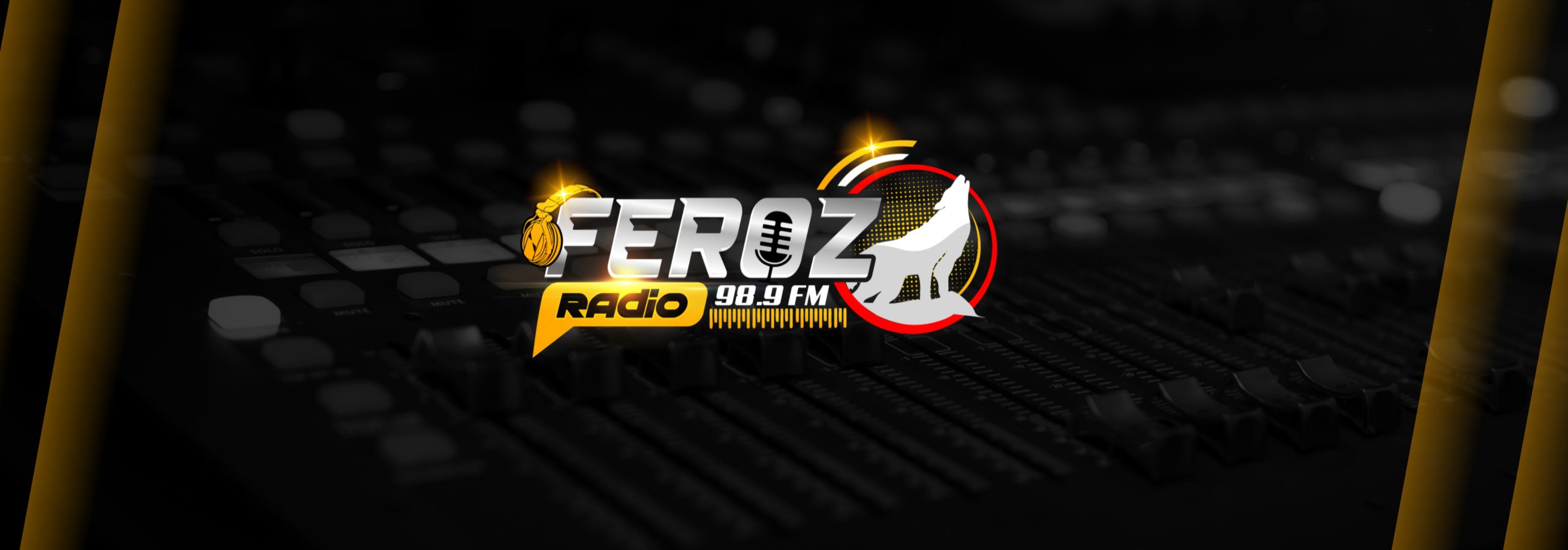 Radio Feroz 98.9 FM