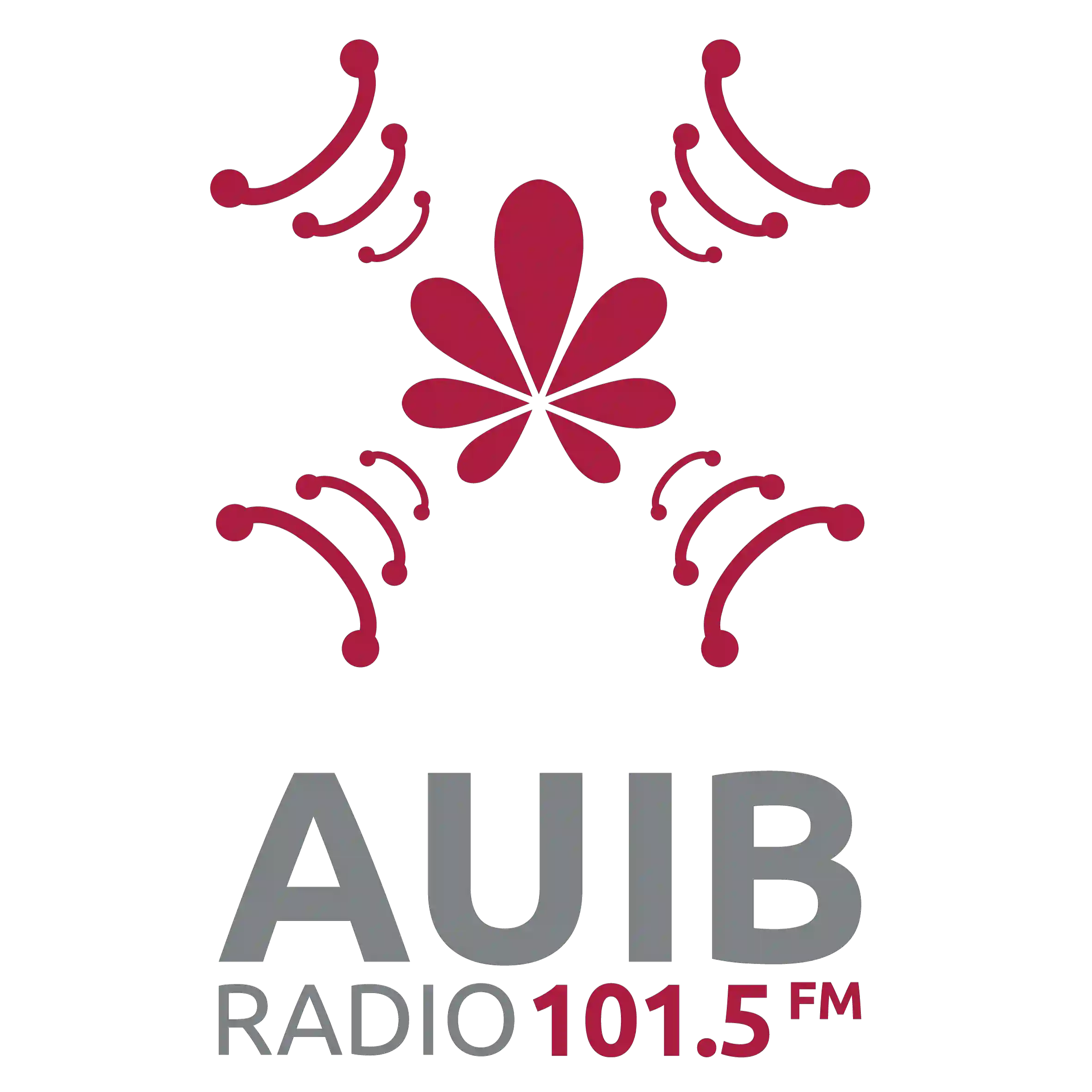 AUIB FM 101.5