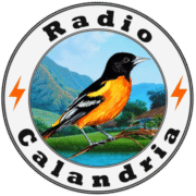 Radio Calandria