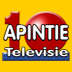 Radio Apintie FM 97.1