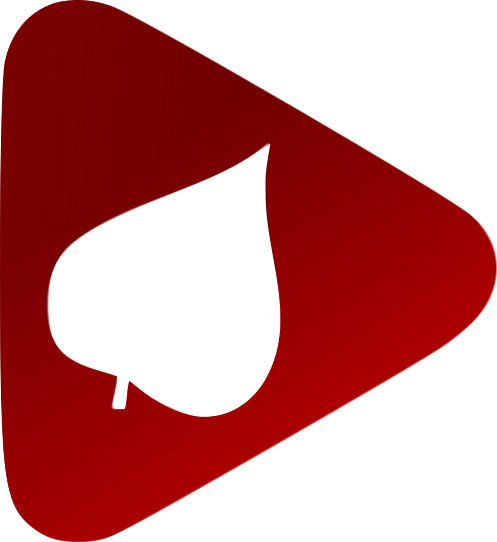 Gradski Radio Belišće FM 101,3