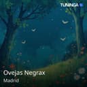 Ovejas Negrax