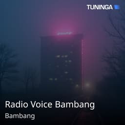 Radio Voice Bambang