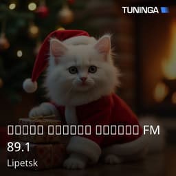 Радио России Липецк FM 89.1