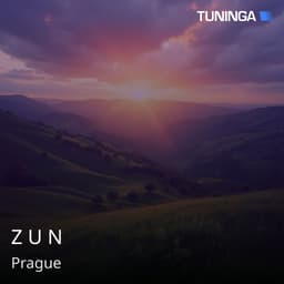 Z U N