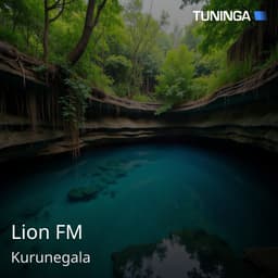 Lion FM