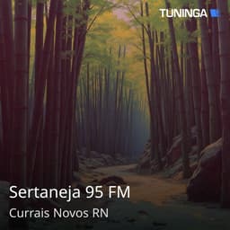 Sertaneja 95 FM