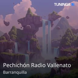 Pechichón Radio Vallenato