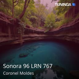 Sonora 96 LRN 767