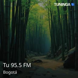 Tu 95.5 FM