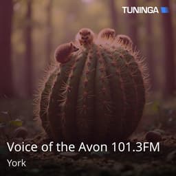 Voice of the Avon 101.3FM