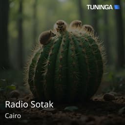 Radio Sotak