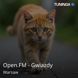 Open.FM - Gwiazdy