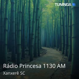 Rádio Princesa 1130 AM