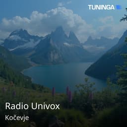 Radio Univox