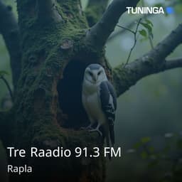 Tre Raadio 91.3 FM