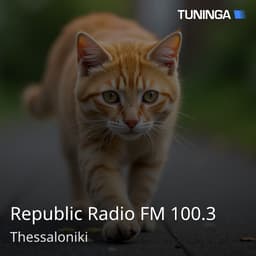 Republic Radio FM 100.3