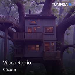 Vibra Radio