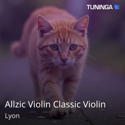 Allzic Violin Classic Violin