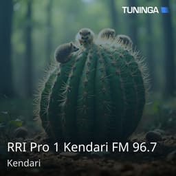 RRI Pro 1 Kendari FM 96.7