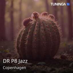 DR P8 Jazz