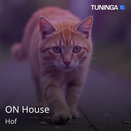 ON House