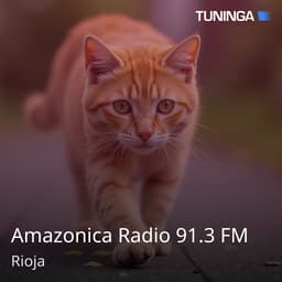 Amazonica Radio 91.3 FM