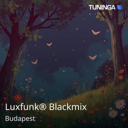Luxfunk® Blackmix