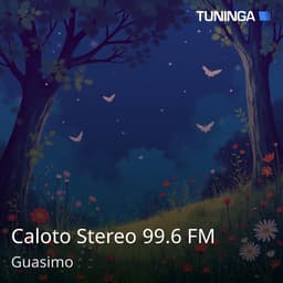 Caloto Stereo 99.6 FM