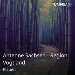 Antenne Sachsen - Region Vogtland