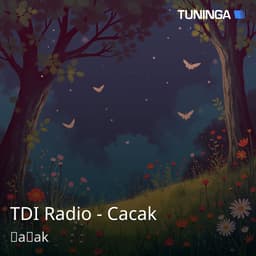 TDI Radio - Cacak
