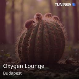 Oxygen Lounge