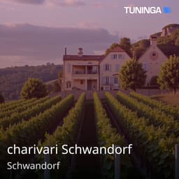 charivari Schwandorf