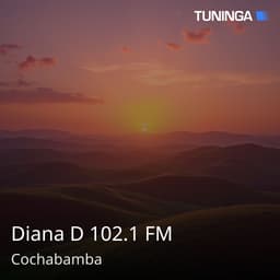Diana D 102.1 FM