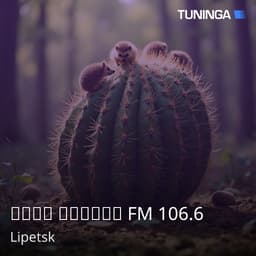 Маяк Липецк FM 106.6