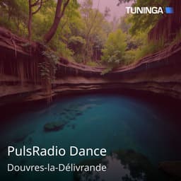 PulsRadio Dance