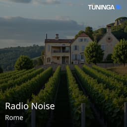 Radio Noise