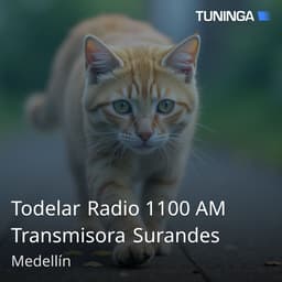 Todelar Radio 1100 AM Transmisora Surandes
