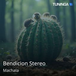 Bendicion Stereo
