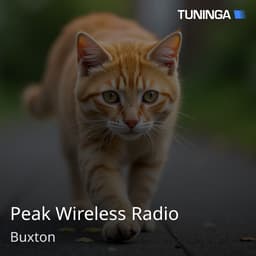 Peak Wireless Radio