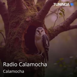 Radio Calamocha